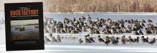 Group of ducks on ice with book cover overlay