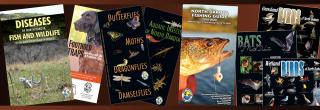 Some print publication example images