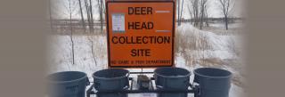 Collection Site
