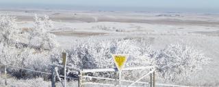PLOTS land with sign