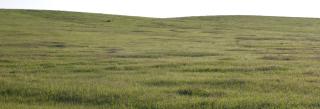 Grasslands