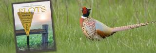 Cover of PLOTS guide superimposed over pheasant rooster photo