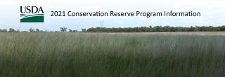 CRP Field