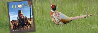 Cover of PLOTS guide superimposed over pheasant rooster photo
