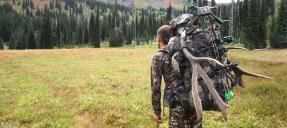 Successful Hunter Packing Out Elk