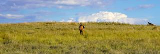 Woman and dog hunting in field