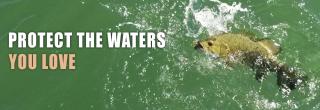 Fish in water being reeled in by angler