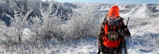 Cayla hunting in snow