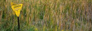 PLOTS sign on landscape