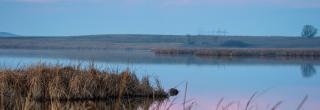 Wetlands in fall