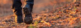 Feet walking in fall leaves