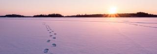 Footprints in snow