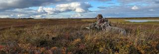 Hunter glassing on tundra