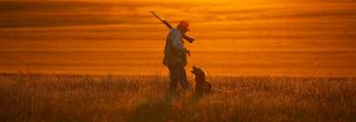 Hunter with dog at sunset