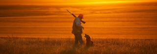 Upland game hunter with dog at sunrise