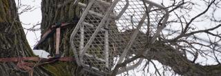 Tree stand