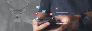 Deer in background with social media icons hovering over person typing on phone