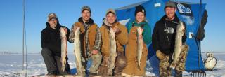 Group of ice anglers posing with fish they caught