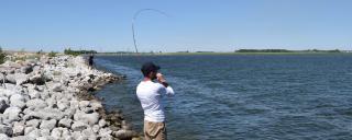 Angler shorefishing