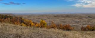 Rolling prairie with woody draw in fall