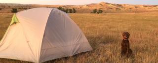 Finley by a tent in the badlands