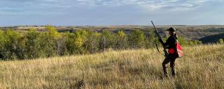 Cayla in a field hunting
