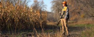 Jackie by corn field hunting