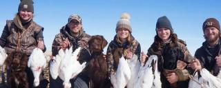 Group of hunters showing snow geese they shot