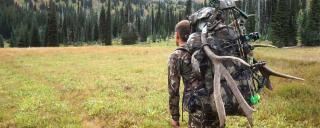 Successful Hunter Packing Out Elk