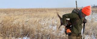 Hunter with harvested pheasant