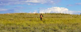 Woman and dog hunting in field