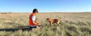 Hunter in the field with a dog