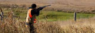 upland hunter firing shotgun