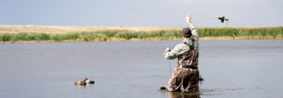 waterfowl hunter throws out duck decoy