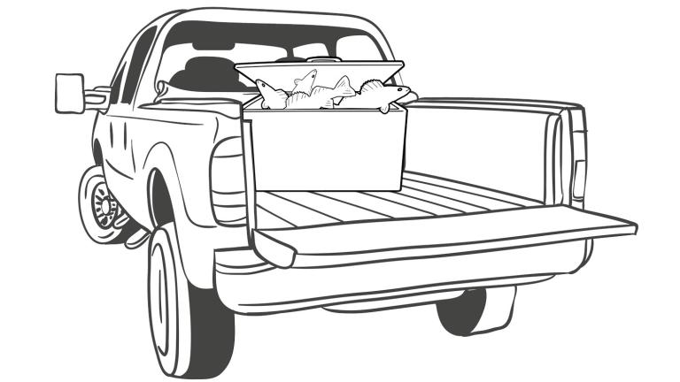 Drawing of walleye in a chest freezer in the back of a truck