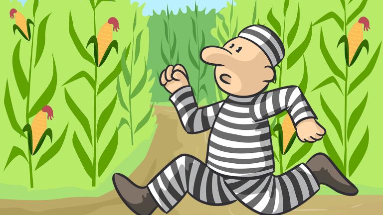 Cartoon escapee running through cornfield