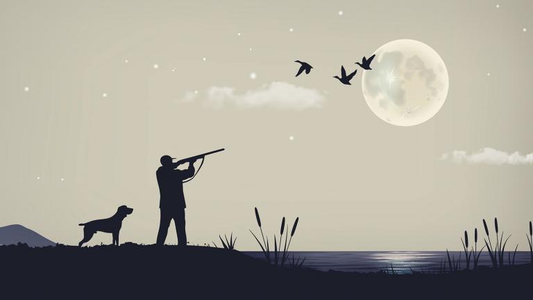 drawing of hunter with dog pointing rifle at flying waterfowl with moon in background