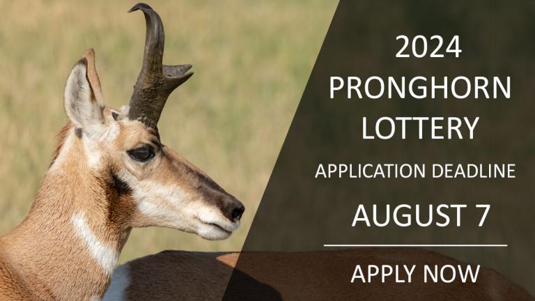 Pronghorn - Apply Now (deadline Aug. 7)