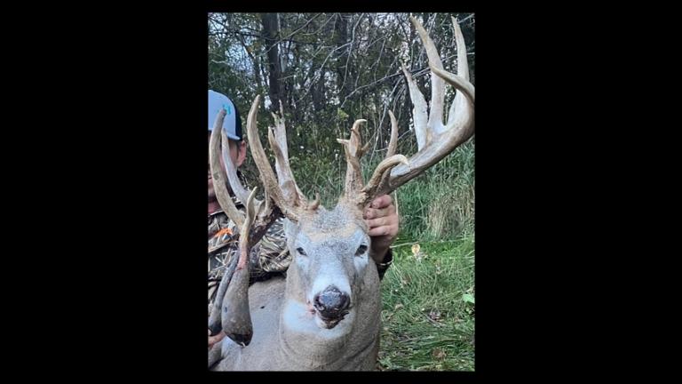 Poached whitetail