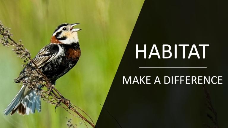 ND habitat loss - how you can help