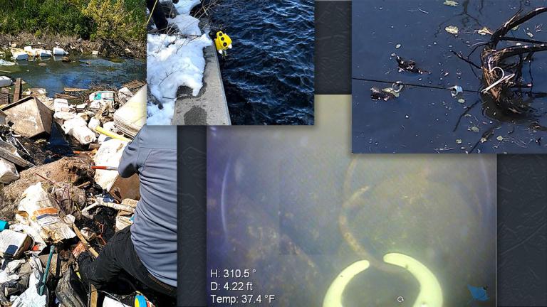 Images of water and debris where deer parts were discarded 