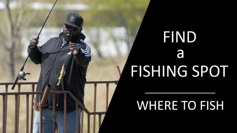 Where to Fish App (Image: Man catching fish from pier)