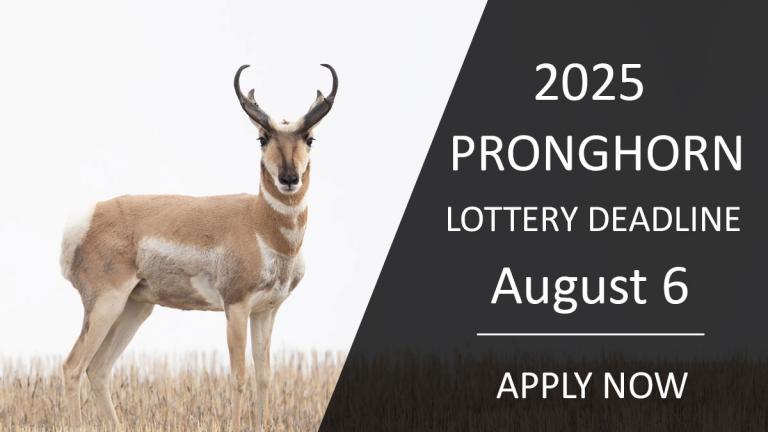 Pronghorn - Deadline August 6, apply now