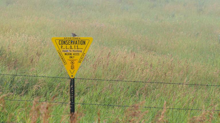 Bird sitting on PLOTS sign in front of a foggy field