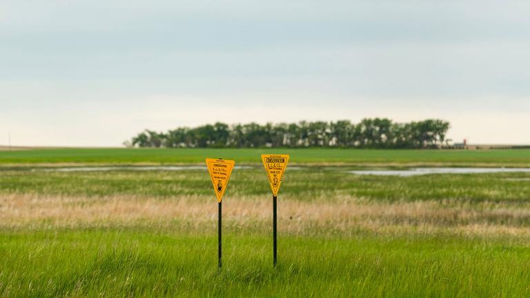 Two PLOTS signs in front of wetland with trees in background