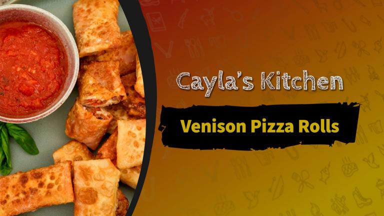 Venison Pizza Rolls on a plate