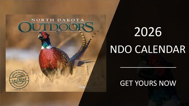 Get your 2026 calendar now (shown: calendar cover).