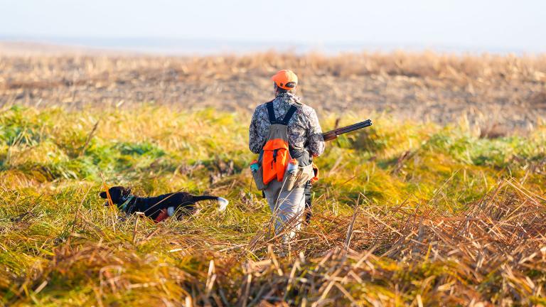 Hunter and dog in the field
