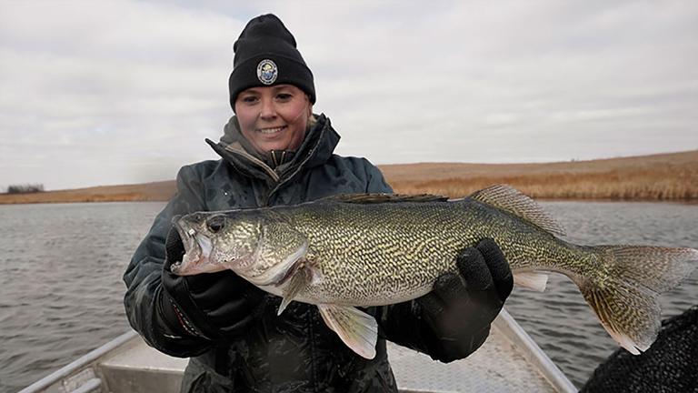 Biologist holding tagged fish