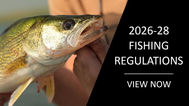 See 2026-28 fishing regulations (pictured: walleye)
